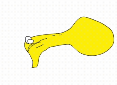 figure image
